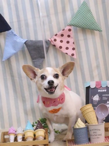 20250524うにちゃん